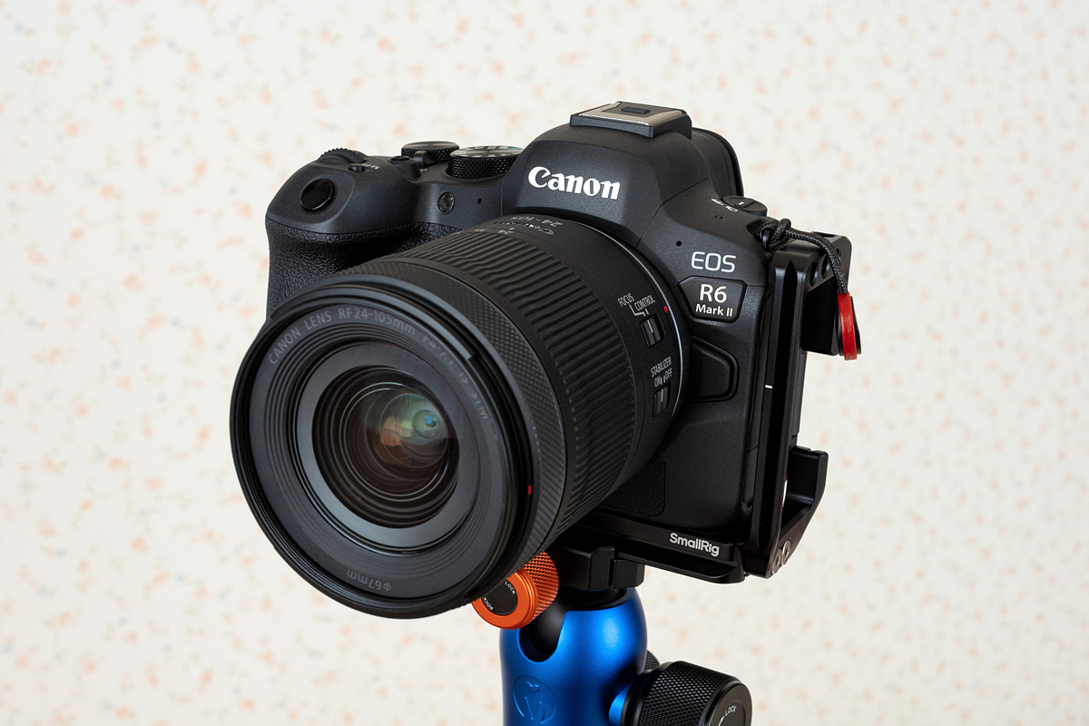 私はこれを買いました！：「III」ではなく「II」を買った理由　キヤノン EOS R6 Mark II（岡嶋和幸） dc.watch.impress.co.jp/docs/review/bu…