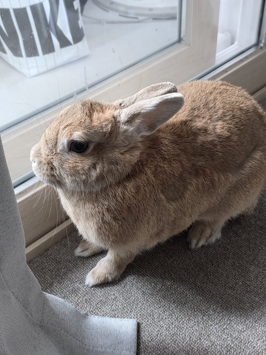 사색에 잠겨있어