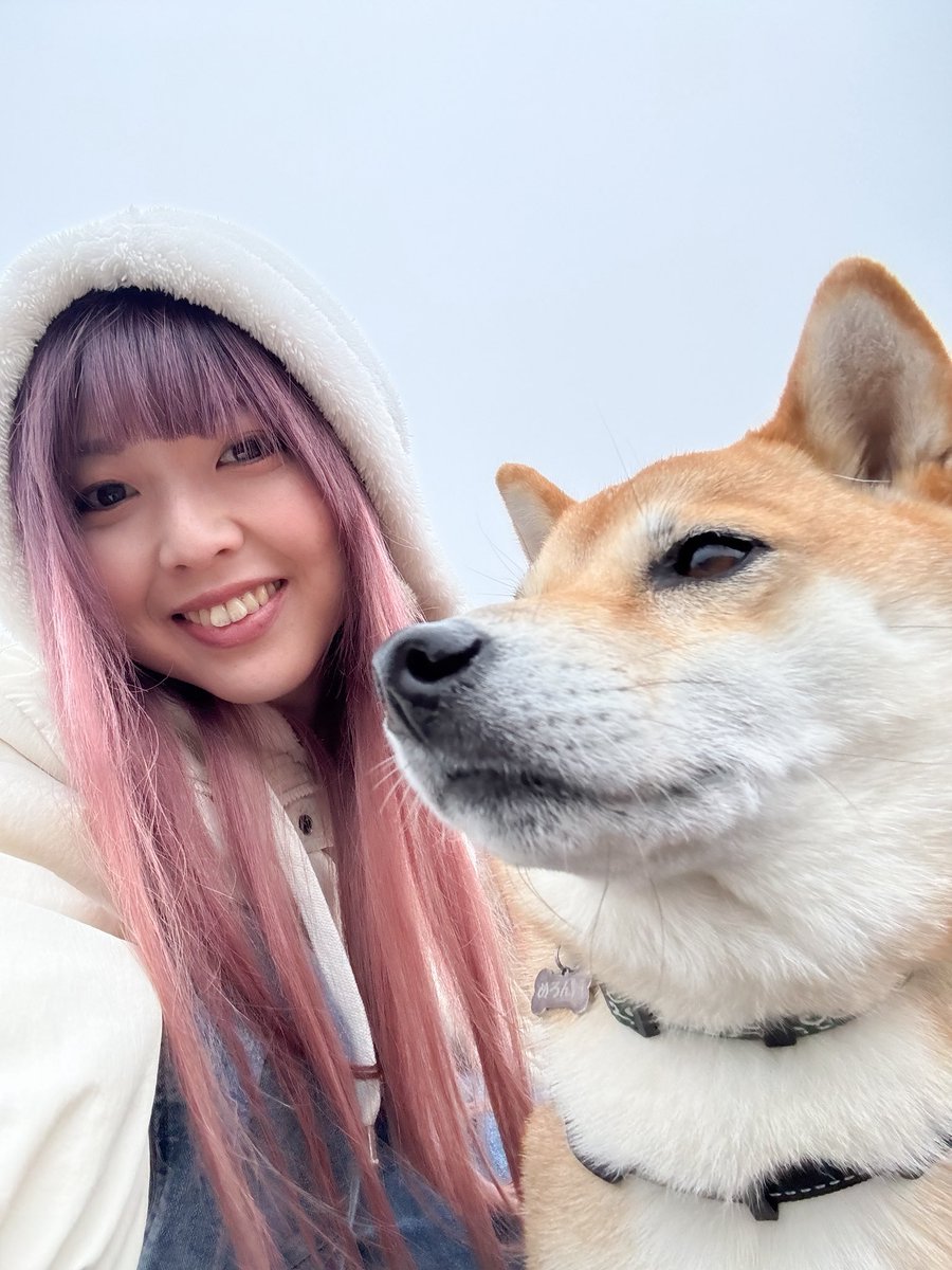 クリスマスだって🎄