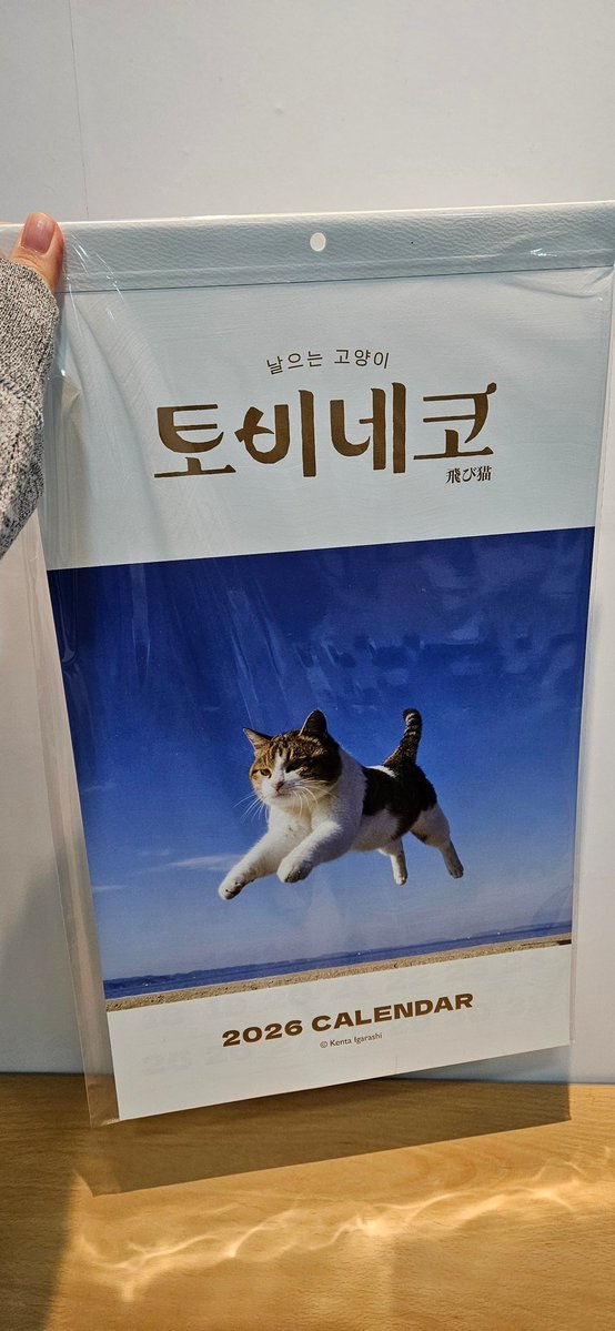 april_plot's tweet image. 출근길에 지나가던 소품가게 쇼윈도에서 보자마자 산 셀프 신년 선물