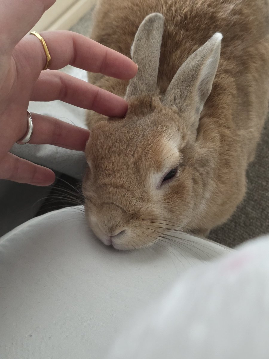 메릴리크리스마스