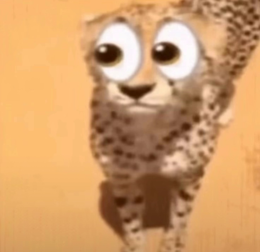 sockates tweet media