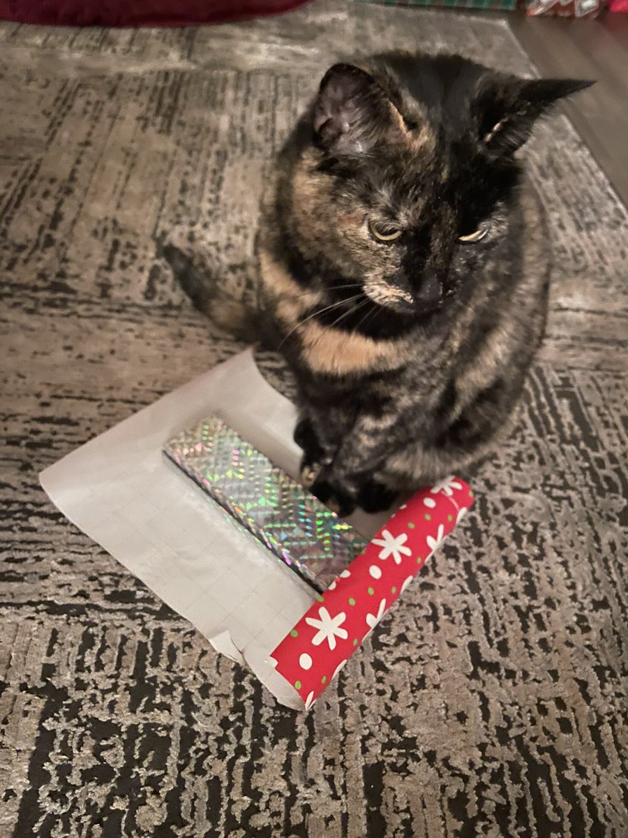 patchie pie 🥧 tweet media