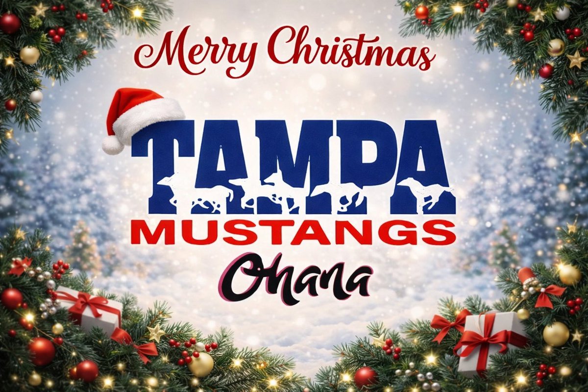 Tampa Mustangs-Ohana tweet media