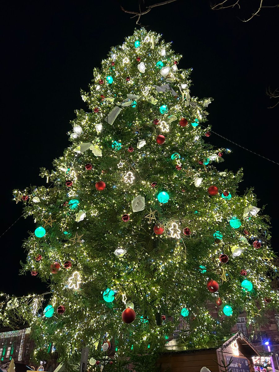 Matronome1's tweet photo. [L'AVENT EN PHOTO ]
Chaque jour un thème à partager
SAPIN
#UnJour25UnePhoto
#AventEnPhoto
#PartageDuBeau

A toi de jouer
On pouvait pas se quitter comme ça ! Je vous remercie à tous, de belles photos de chouettes échanges.
 New game en 2026.... https://t.co/brsg6Q2oxH