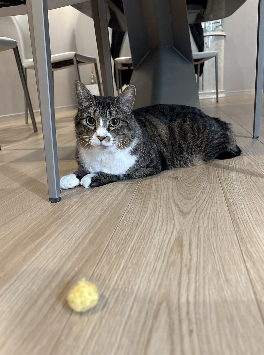 クリスマスプレゼント🧶🎁