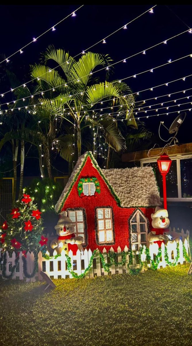Satabdee96's tweet photo. Christmas eve ♥️
#MerryChristmas2025 https://t.co/GRUJAl2nqb