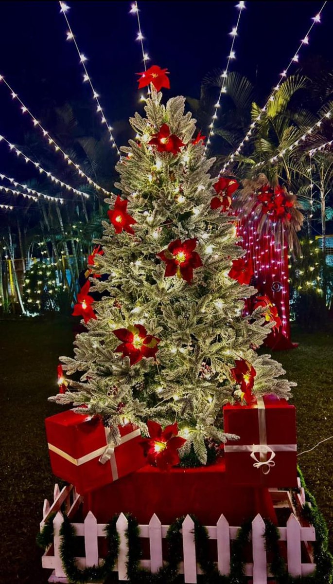 Satabdee96's tweet photo. Christmas eve ♥️
#MerryChristmas2025 https://t.co/GRUJAl2nqb