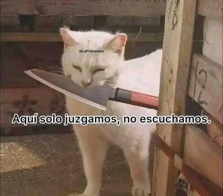 Crow Queen tweet media