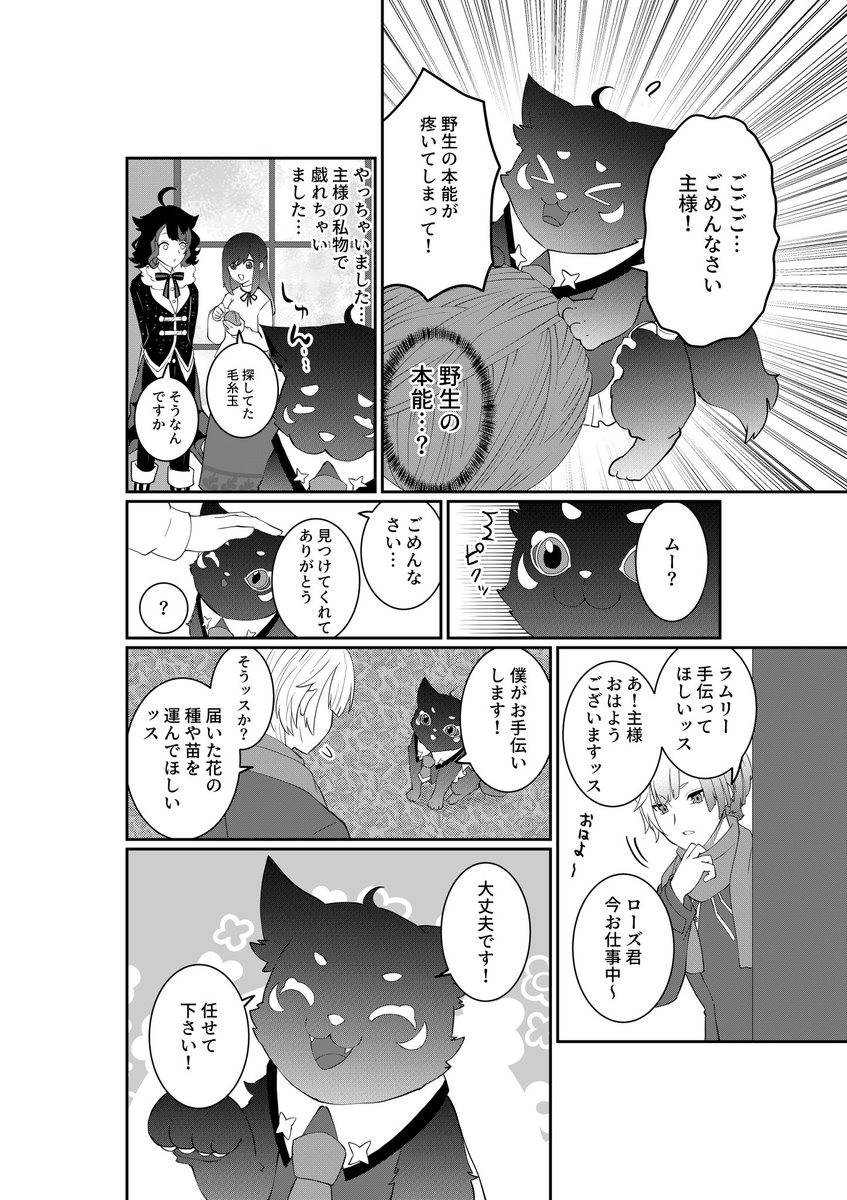 (3/6) 
