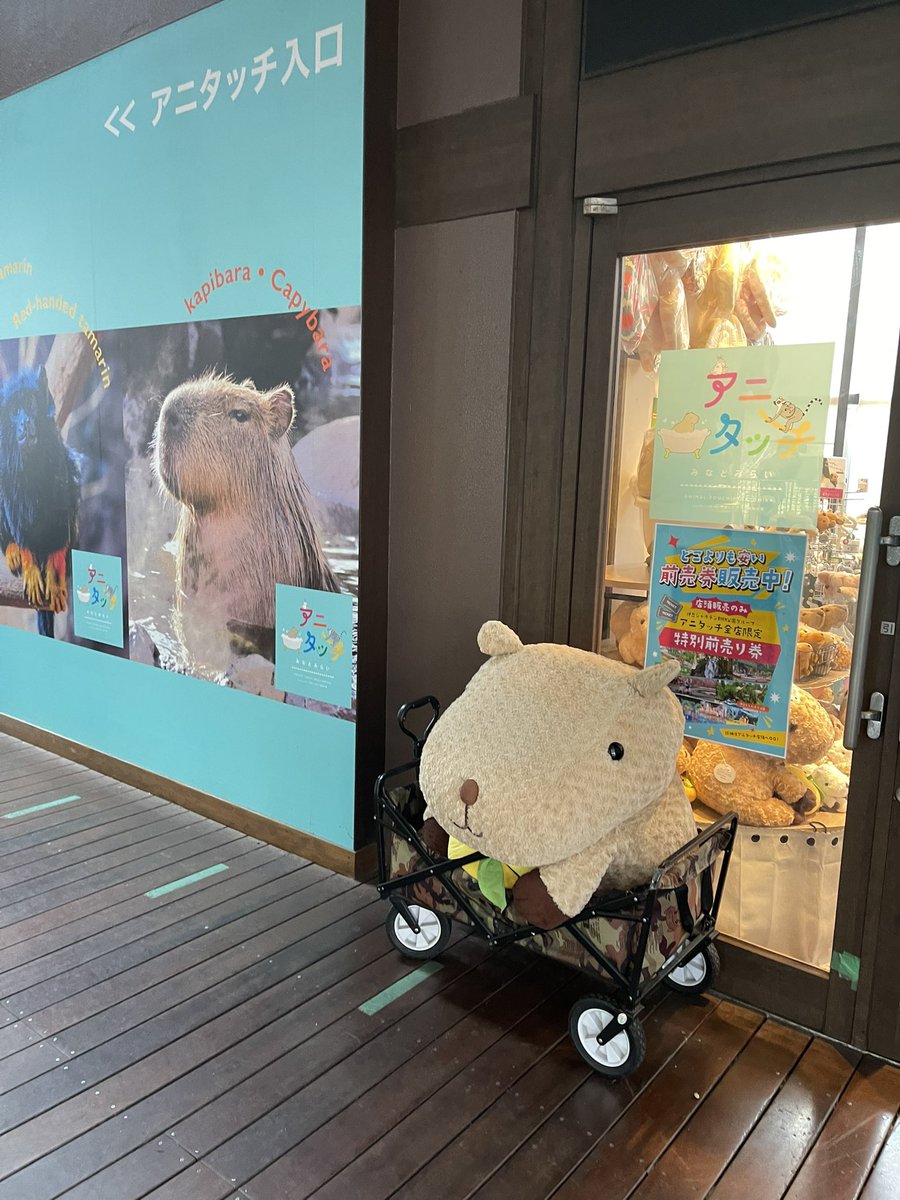 値下げしました❗中屋きゅうさく ノコギリ Amazon | 中屋 組子用胴付鋸 超精密切り 210mm D-210C ホワイト | 片刃