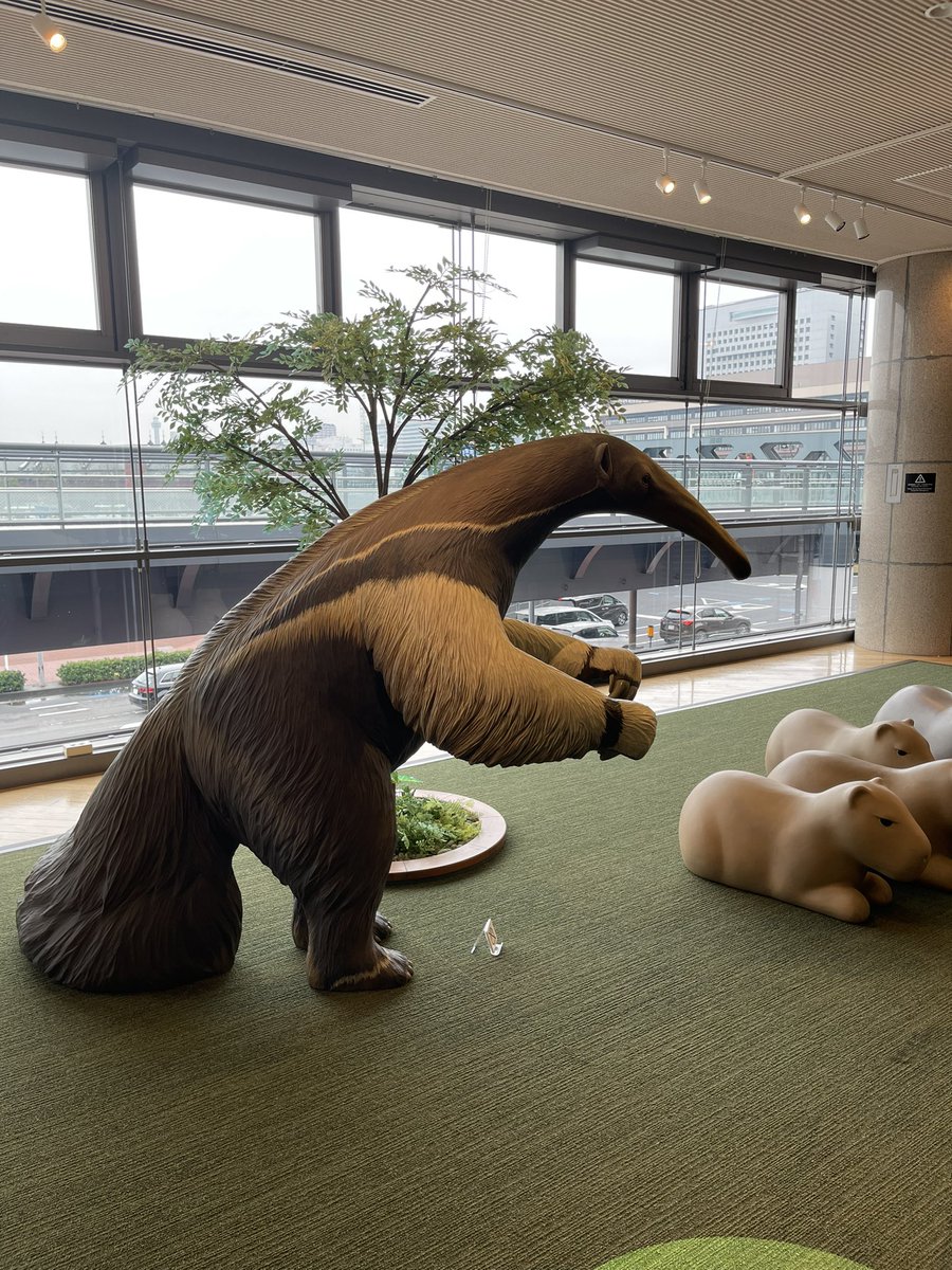 値下げしました❗中屋きゅうさく ノコギリ Amazon | 中屋 組子用胴付鋸 超精密切り 210mm D-210C ホワイト | 片刃