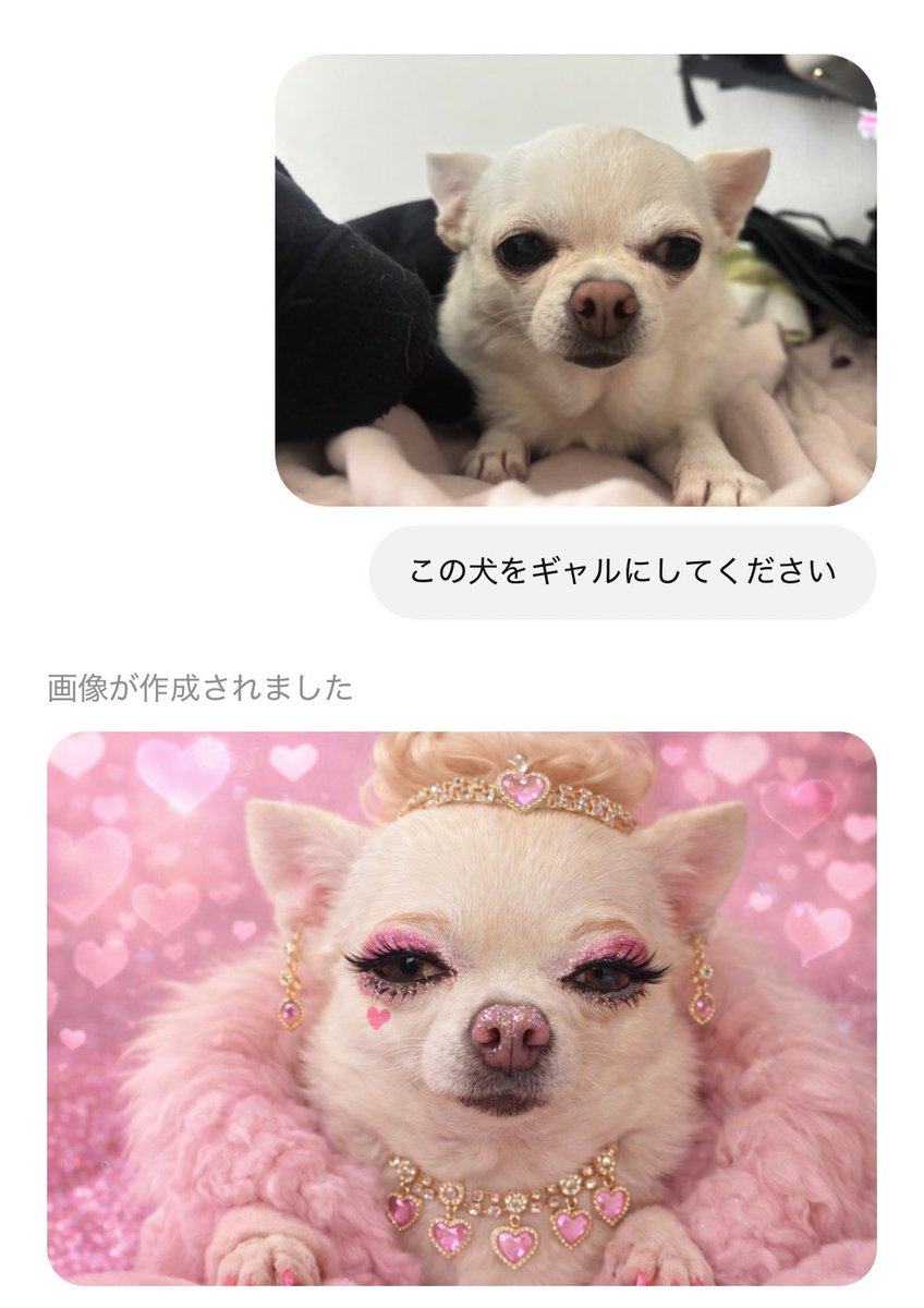 bonheur_1001's tweet photo. 疲れすぎてる https://t.co/s13Ppdwmip