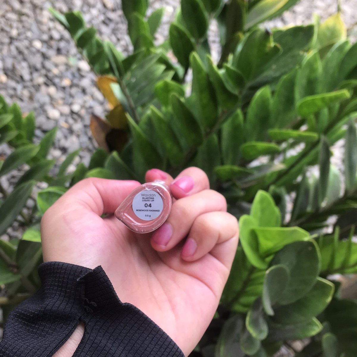 jeA¹ᐟ🍃 tweet media