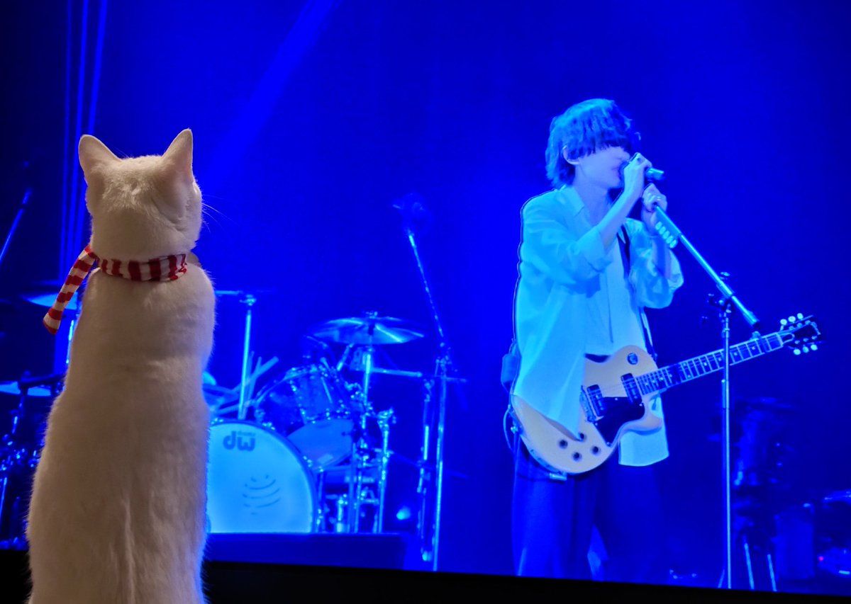 BUMPに夢中🩷な🐱ニコル🧣です🎄 #BUMPOFCHICKEN #SpheryRendezvous