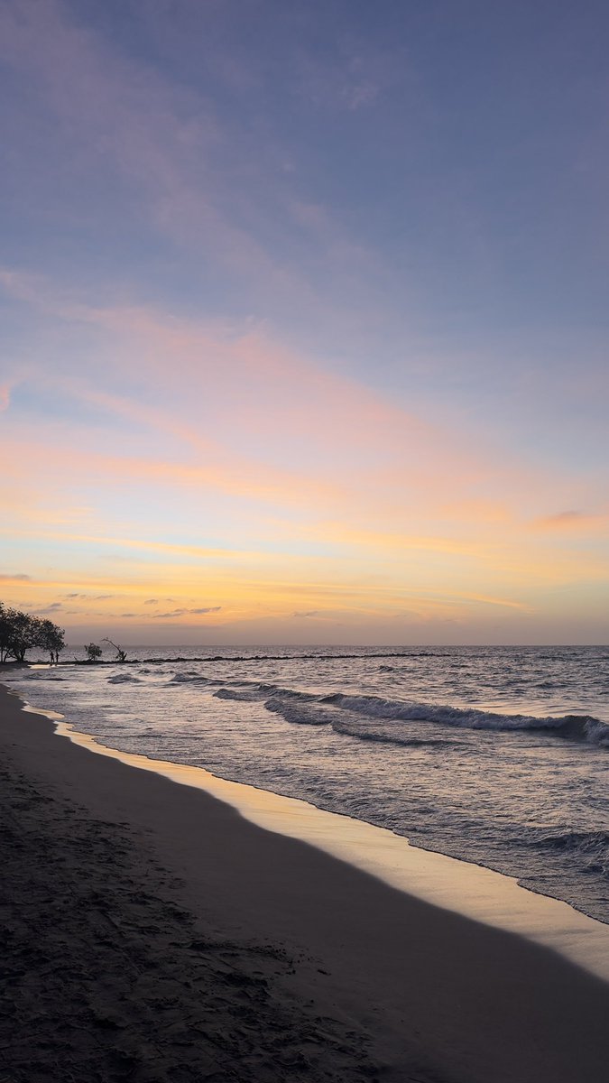 LauraTrianaD's tweet photo. Postalitas decembrinas 🌅✨ https://t.co/Qyr50oXDJB