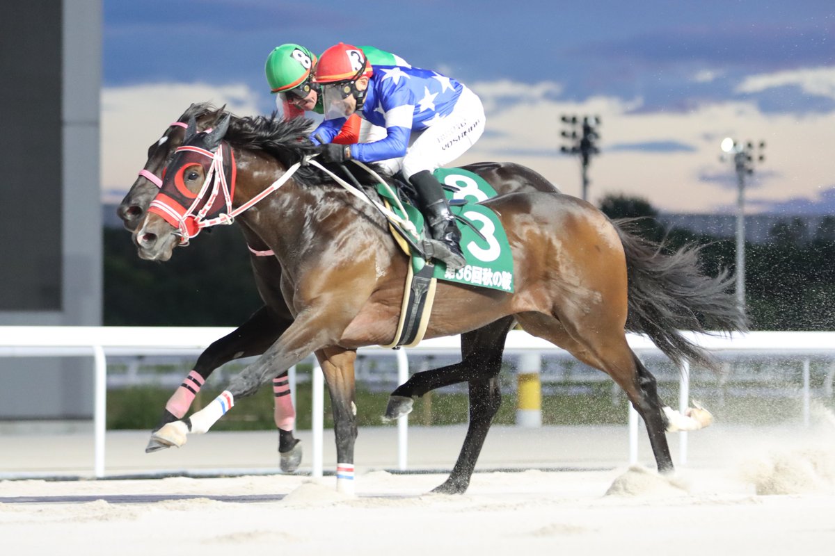 12/25出走情報🐎】 本日、園田競馬11レース「農林水産大臣賞典 第25