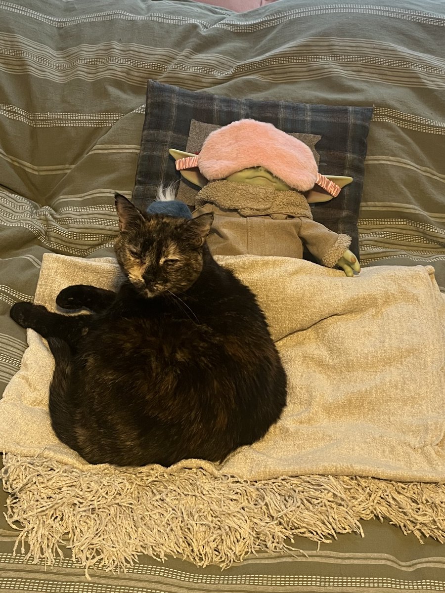 zipoffs's tweet image. 