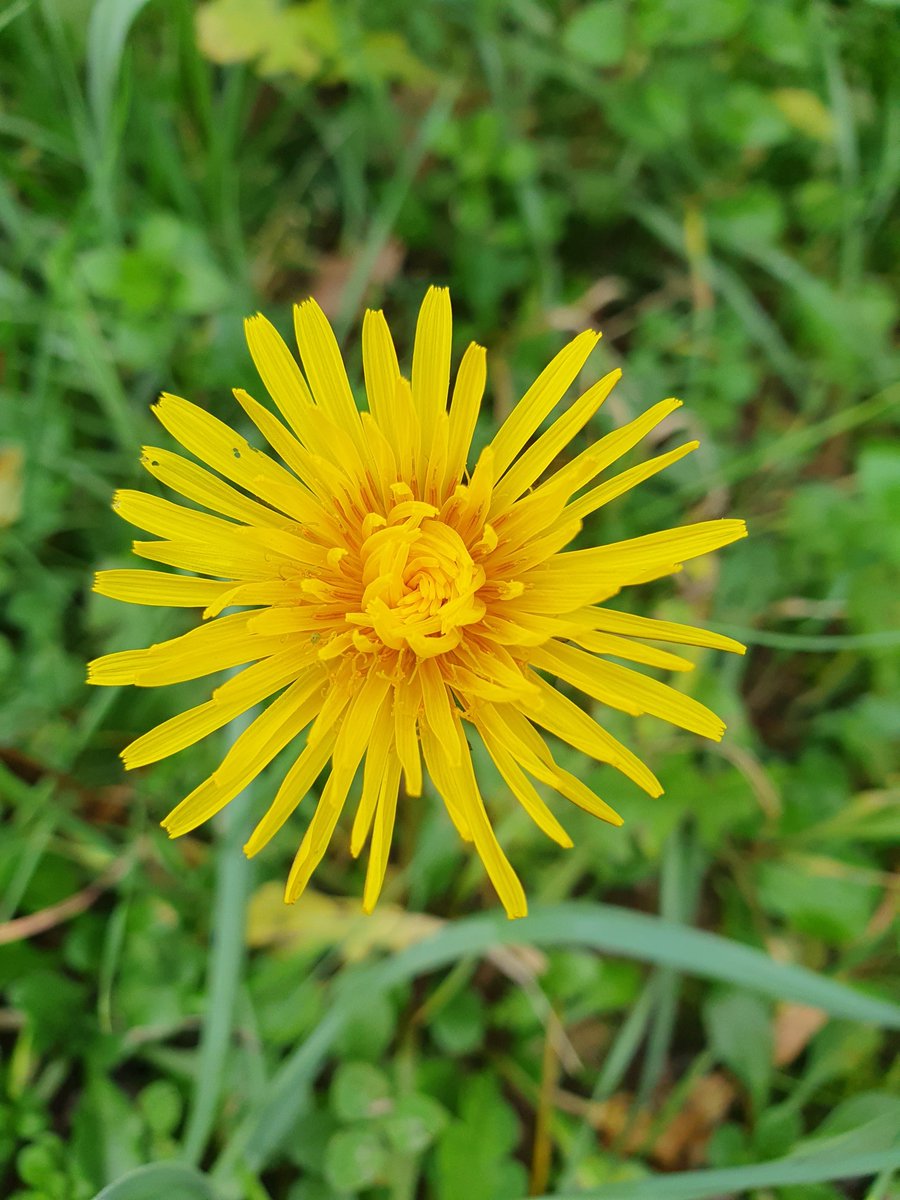 IgorB090371's tweet image. Dobro jutro in vesel Božič vsem👋☕️