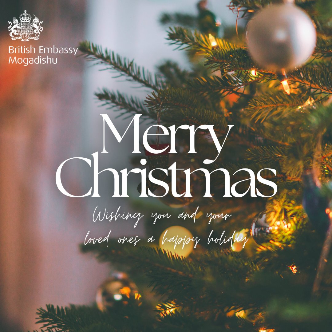 🎄As we celebrate this festive season, we extend our warm wishes to all our  friends and partners. 🌍🤝 May this Christmas bring peace, joy, and  goodwill to you and your loved ones🎅🎉, image size:1080x1080