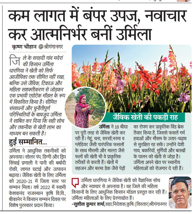 KrishanCha7105's tweet photo. ✍✍✍जैविक खेती से बदलाव की कहानी 🌾
श्रीगंगानगर के बॉर्डर गांव म��ेरां की उर्मिला धारणिया का प्रेरक एग्रोटेक मॉडल।
✍️ कृष्ण चौहान, सीनियर सब एडिटर https://t.co/r32pzI1obe