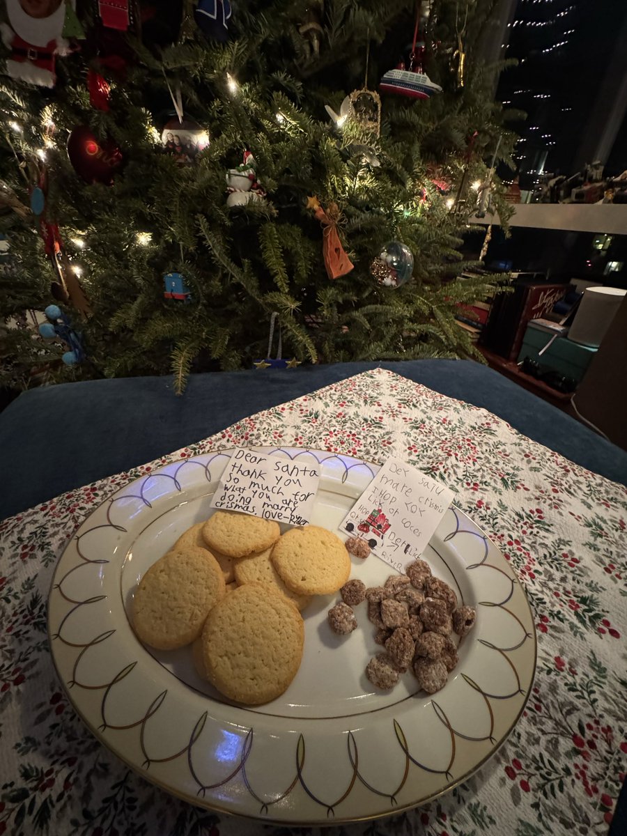 PaulRieckhoff's tweet image. Merry Christmas from NYC USA. 

Where our kids are still and always thankful.🎅🗽🇺🇸