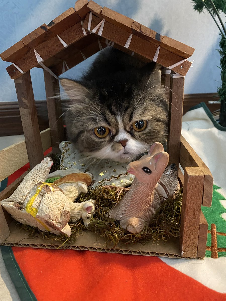 Feliz navidad hasta el cielo 🌧️
Te extrañamos :(