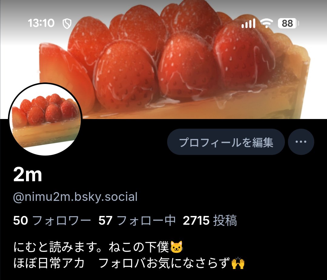 一応ブルスカにもアカウントあります〜。プロフにURLありますのでよかったらどうぞ。