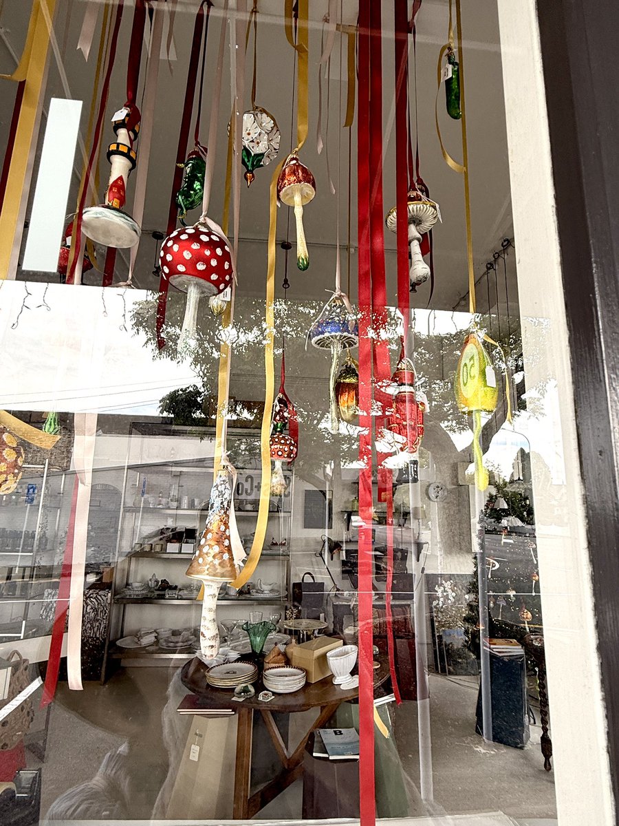 きのこ🍄被ってる子🐶多いけど
🍄が流行っているって知らなかった
いつもの散歩道で見かけた
クリスマスオーナメント🎄までが🍄😭

#ニュージーランド #クリスマス #オーナメント #きのこ