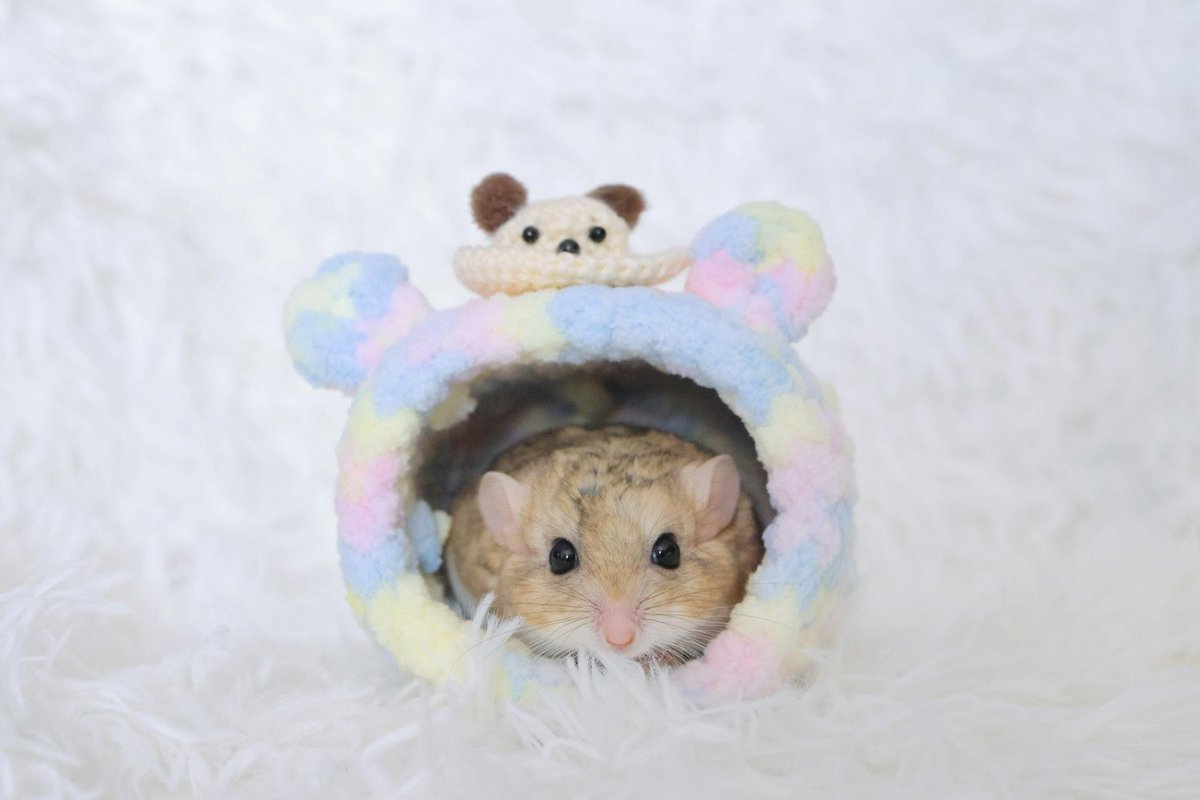 ゆっこ🐭ねずみの雑貨屋CLOVER🍀 (@nezumi3illust) / Posts / X