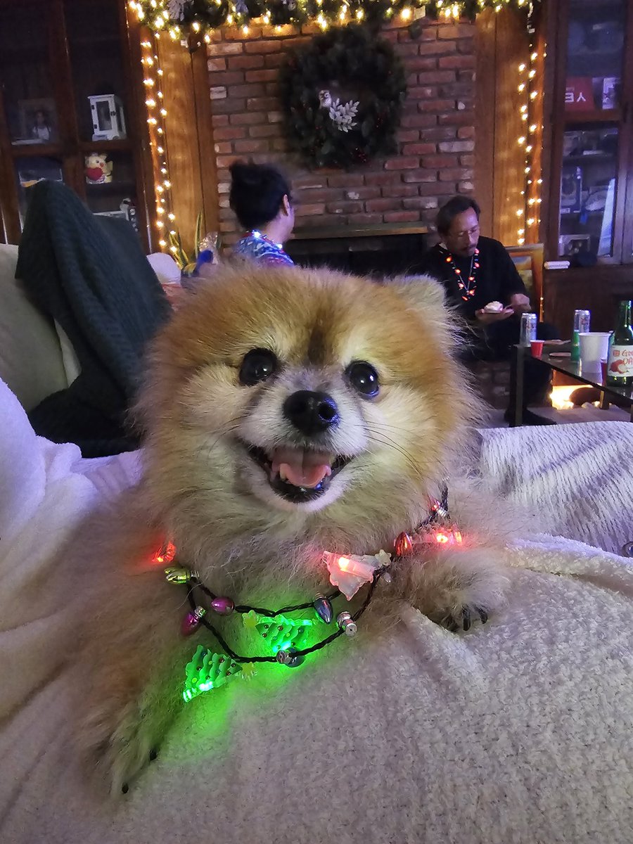 Hope everyone have a wonderful holiday!