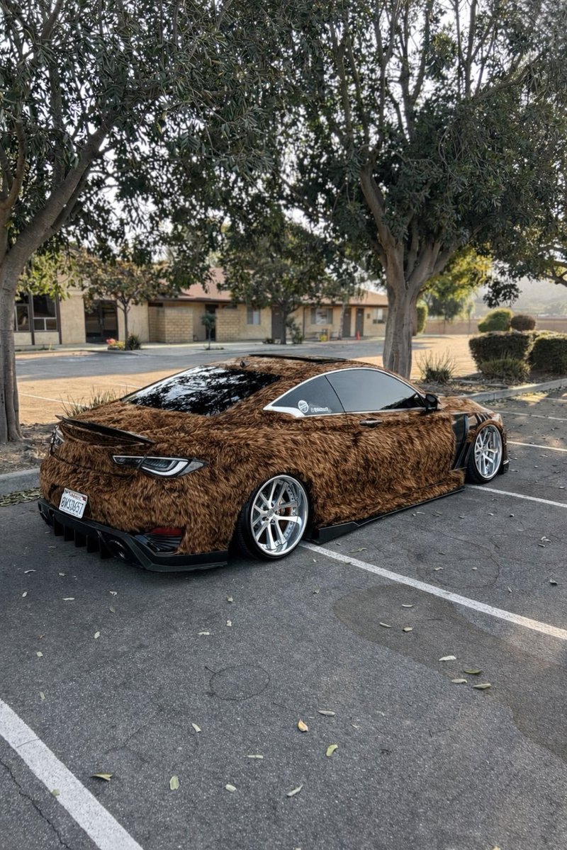 Heighhtt's tweet image. Labubu Q60 
@INFINITIUSA