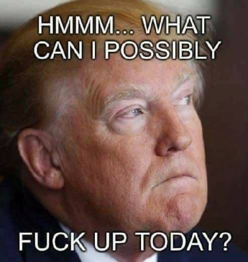 OK_Dumbass's tweet photo. @gtconway3d It's like poetry, George.
@POTUS demands that corrupt-AF @AGPamBondi & corrupt-AF @DAGToddBlanche do stupefyingly incompetent crimes on his behalf, and because they're both SO stupefyingly incompetent & corrupt-AF, THEY JUST DO IT.
#DepravedDonald
#DebauchedDonald
#DeviantDonald https://t.co/n7SMKs4zdg