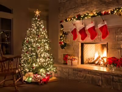 Wishing Merry Christmas to Everyone! 
#MerryChristmas2025
