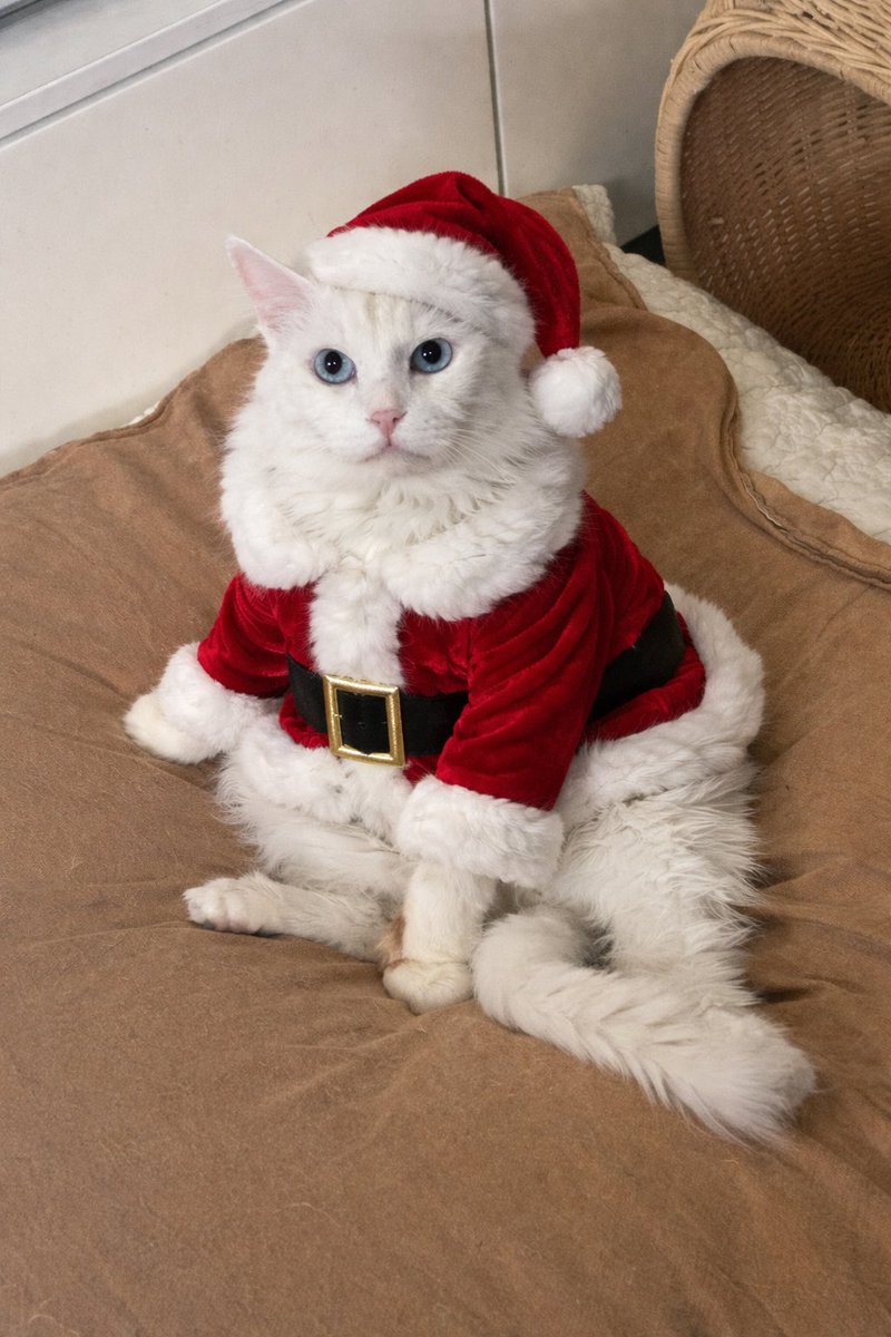 폭. . (@gu9o71o) on Twitter photo 