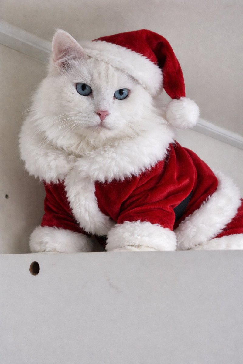 폭. . (@gu9o71o) on Twitter photo 