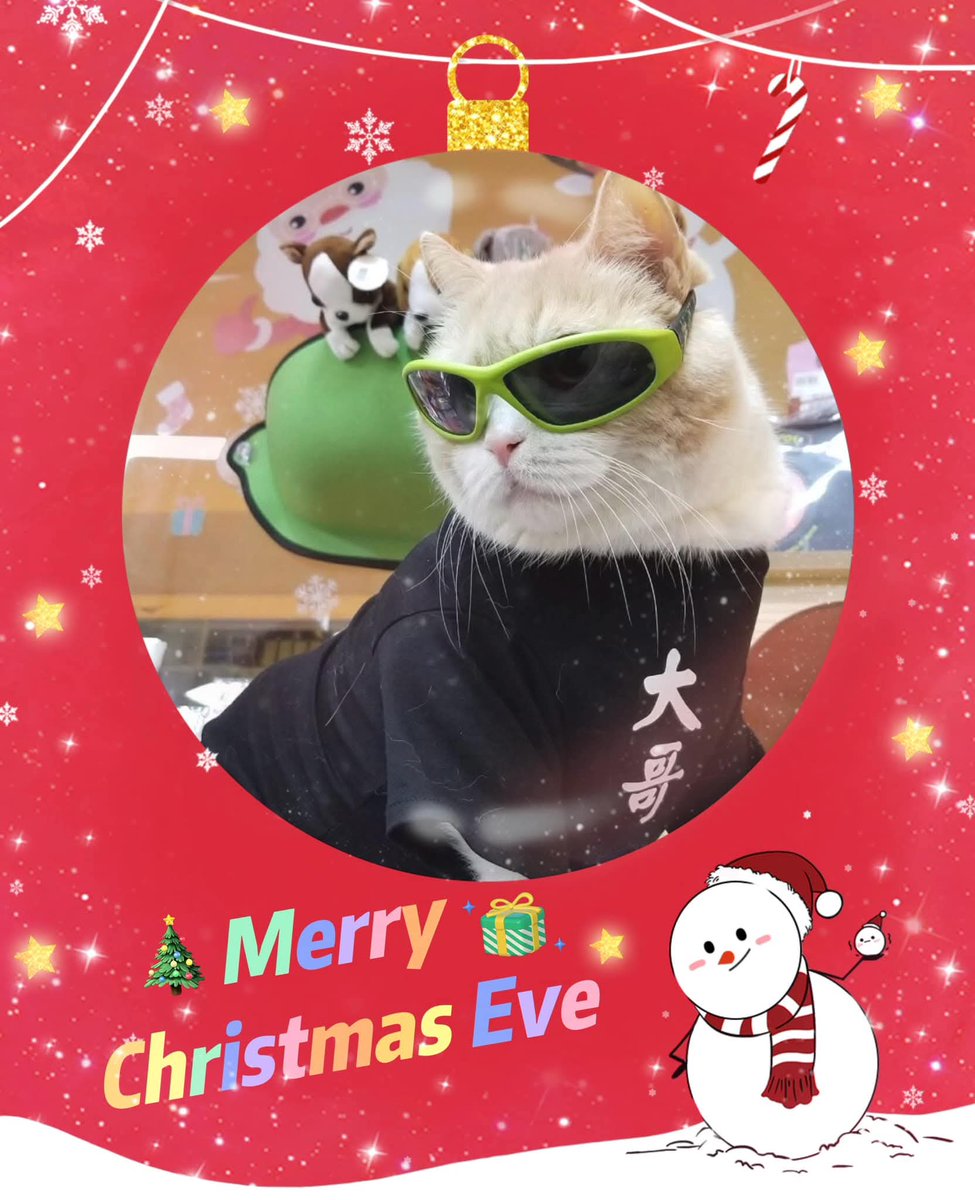 NEKONOKO😸 (@nekonokosora) / Posts / X