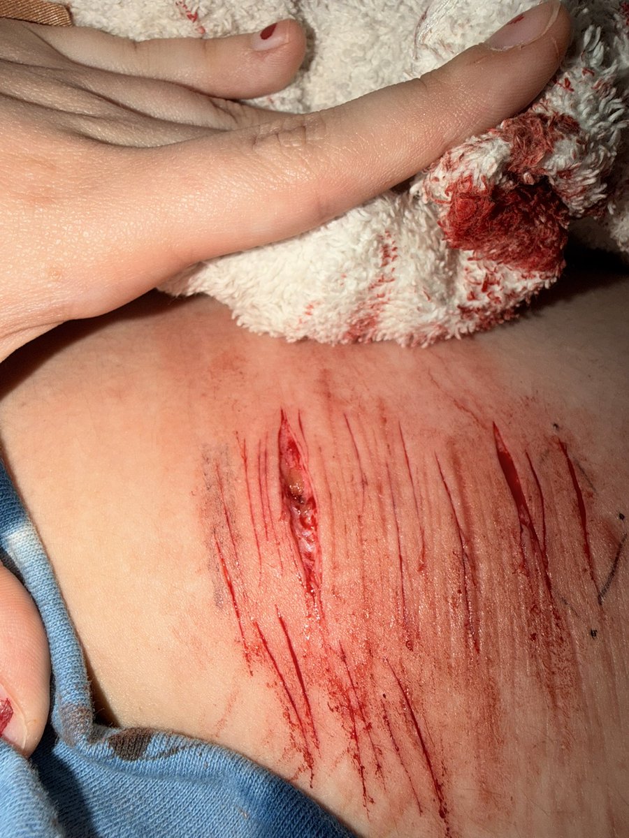 *+.•eden tweet media