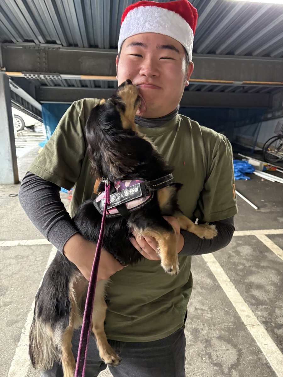 カンちゃん専務 超公式🐤 (@castlekanchan88) / Posts / X