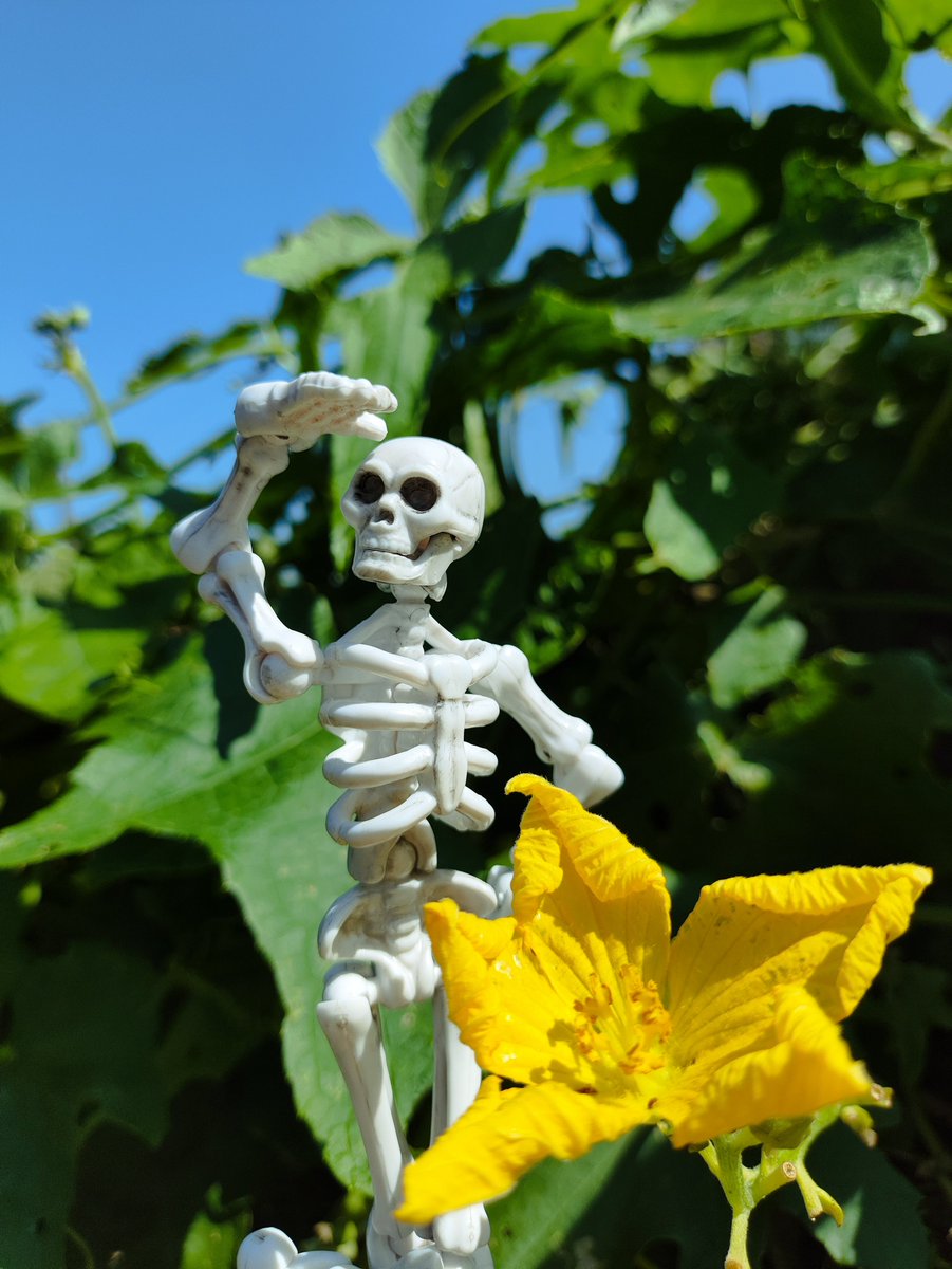 乱涂乱画BEN (@ben404yg) on Twitter photo 