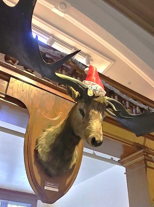 Elgin Public Museum tweet media