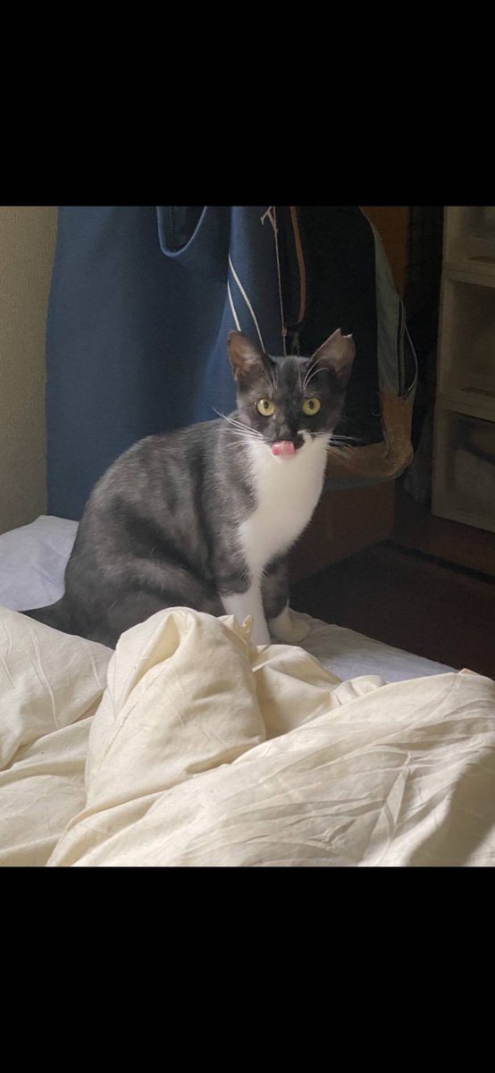 poppy🐥 (@groovy03291013) / Posts / X