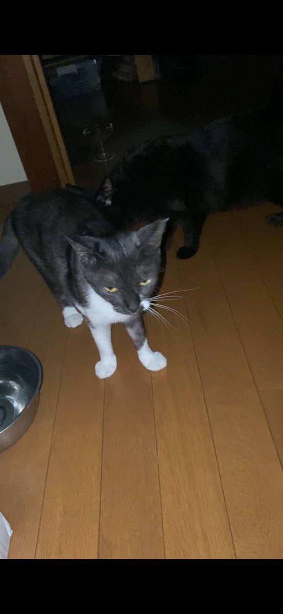 poppy🐥 (@groovy03291013) / Posts / X