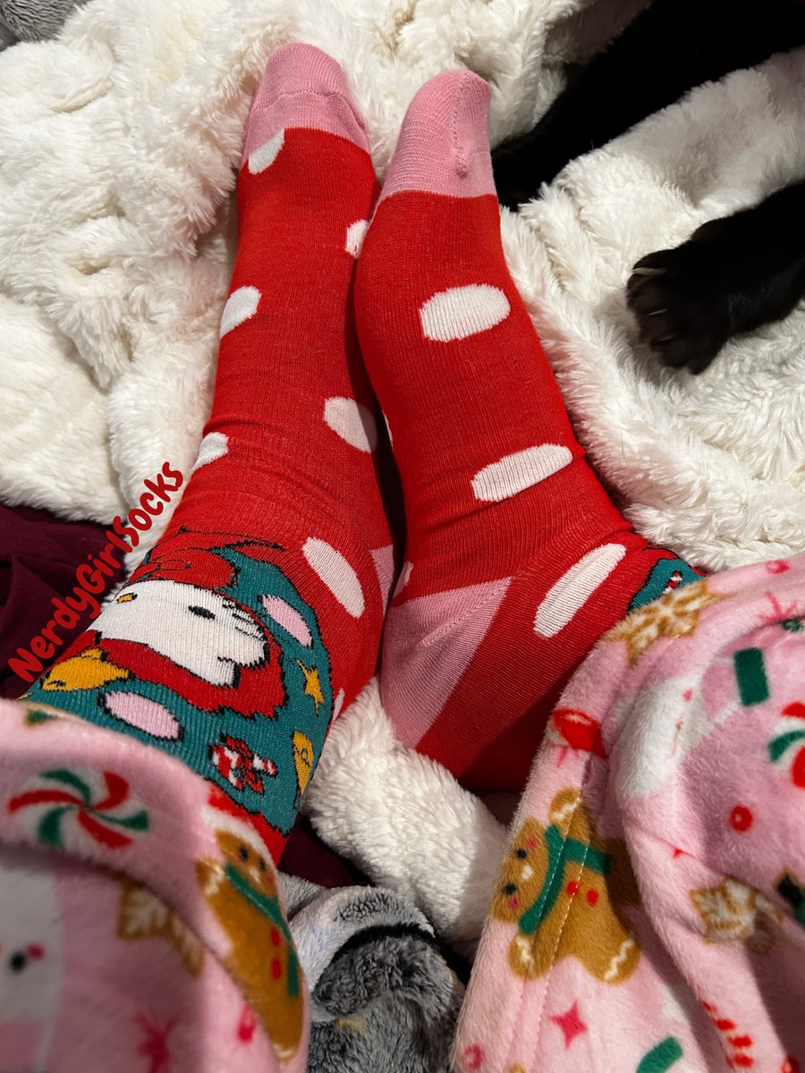 NerdyGirlSocks's tweet photo. Happy #ChirstmasEve everyone and Merry #Sockmas Day 24! Some more cute #HelloKitty socks for you guys &amp; the promise of something VERY special for tomorrow!
🎀1/4🎀
#Christmas #ChristmasTime #Christmas2025 #anklesocks #soles #feet #socks #festivesocks #SANRIO #ソックス #양말 #fyp https://t.co/wMx6ndU11T