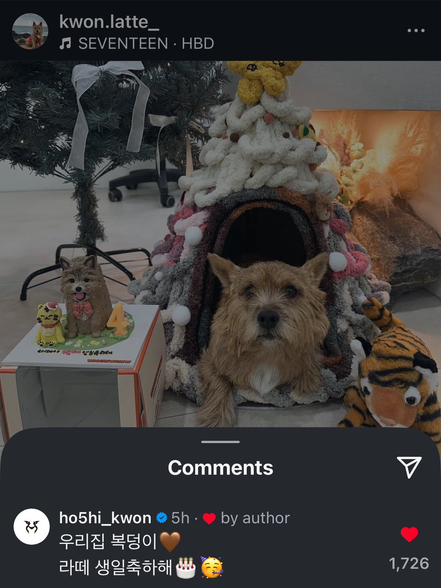 mochihochihae's tweet image. 🥺🥺🥺 hoshi commented on latte’s birthday post 🤎 

“our family’s lucky charm🤎 
latte happy birthday🎂🥳”