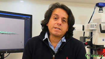 Los tres reyes vagos y mantenidos.
🤡