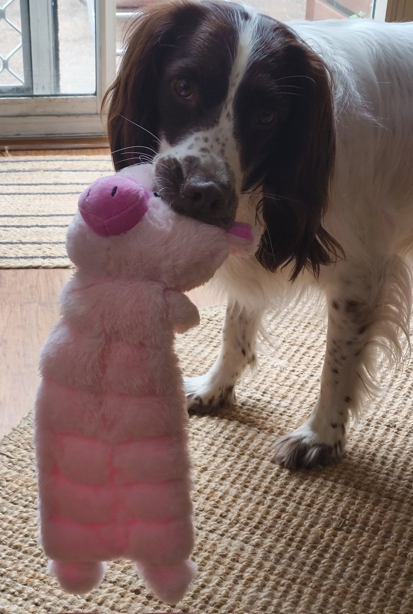 Simon Earle tweet media