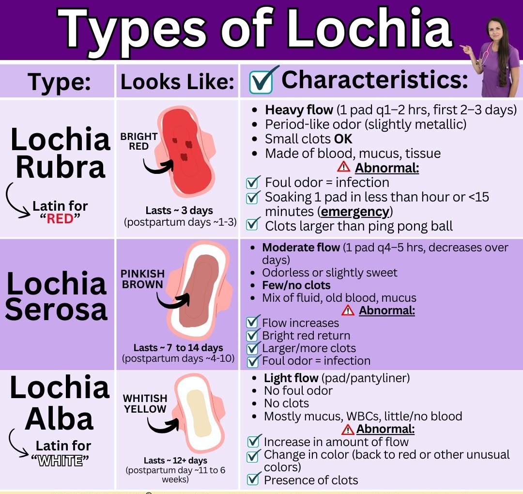 Hiren49432's tweet photo. Understanding the types of lochia after childbirth is essential for postpartum care. From lochia rubra to serosa and alba—each stage tells a story about normal recovery and warning signs that shouldn’t be ignored. 🩺🤱
#PostpartumRecovery #Lochia #PostpartumCare #FourthTrimester #NewMomTips #PostpartumHealing #AfterBirth #MomHealth #PostpartumCare #Lochia #MaternalHealth #OBGYN #MedicalEducation #MedTwitter #WomenHealth #AfterDelivery #HealthcareEducation#WomensHealthMatters #PostpartumJourney