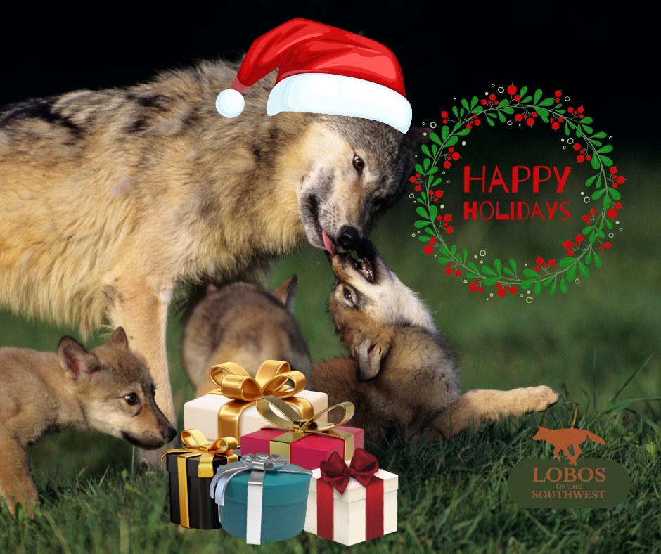 Mexican Wolves tweet media