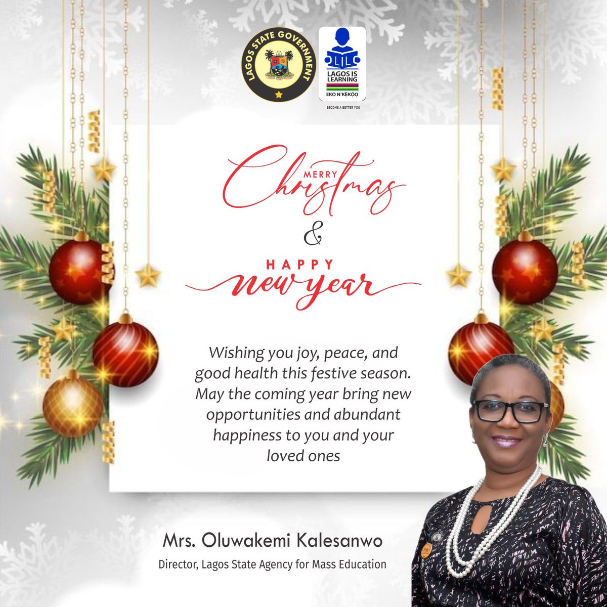 LAGOS STATE AGENCY FOR MASS EDUC tweet media